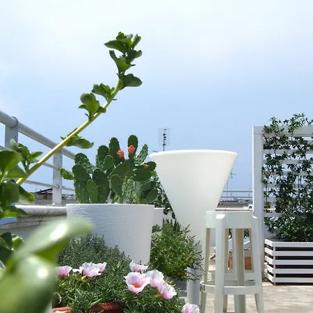 Guest house Luvi