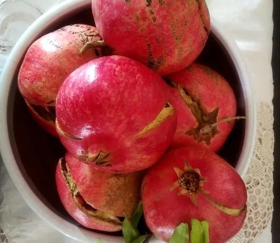 Guest house Luvi Maruggio